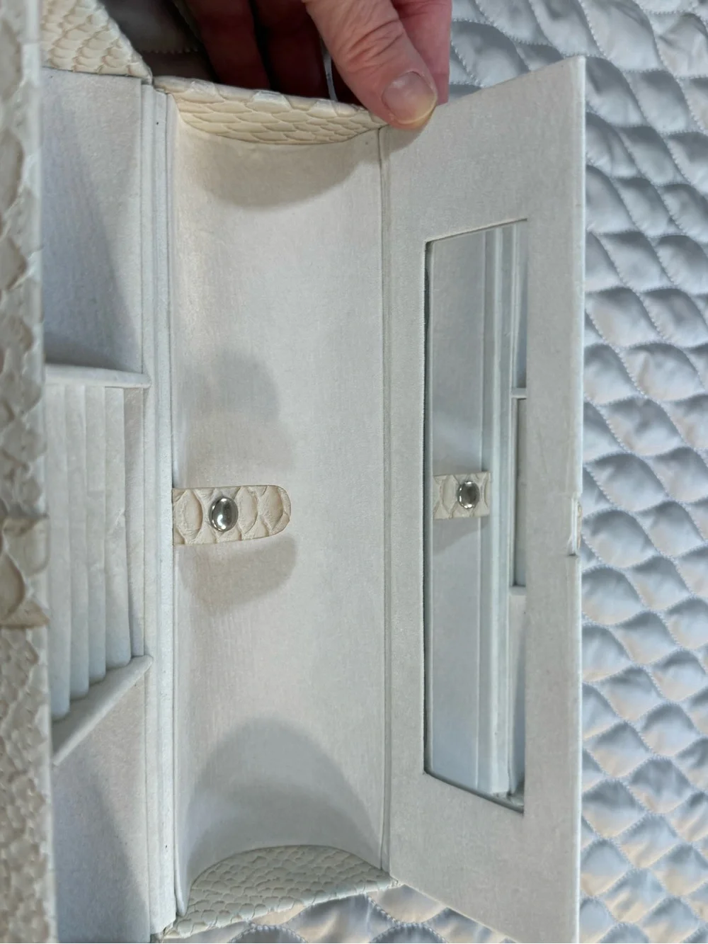 Cream Snakeskin textured Jewelry case with Silver Buckle